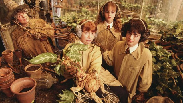 créatures harry potter